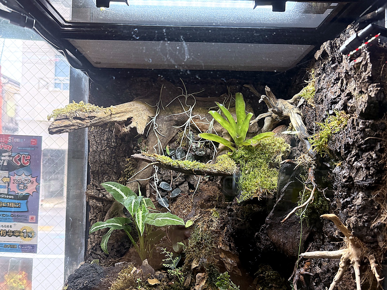 レイアウトのイメージづくり(俯瞰)