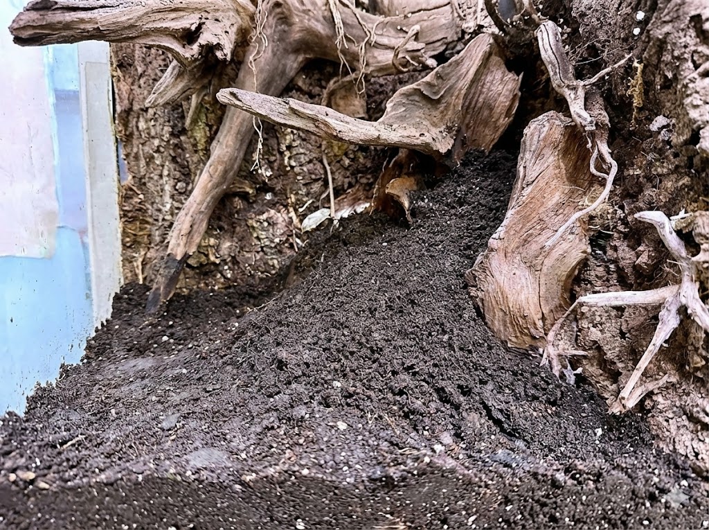 地形と植栽のイメージ