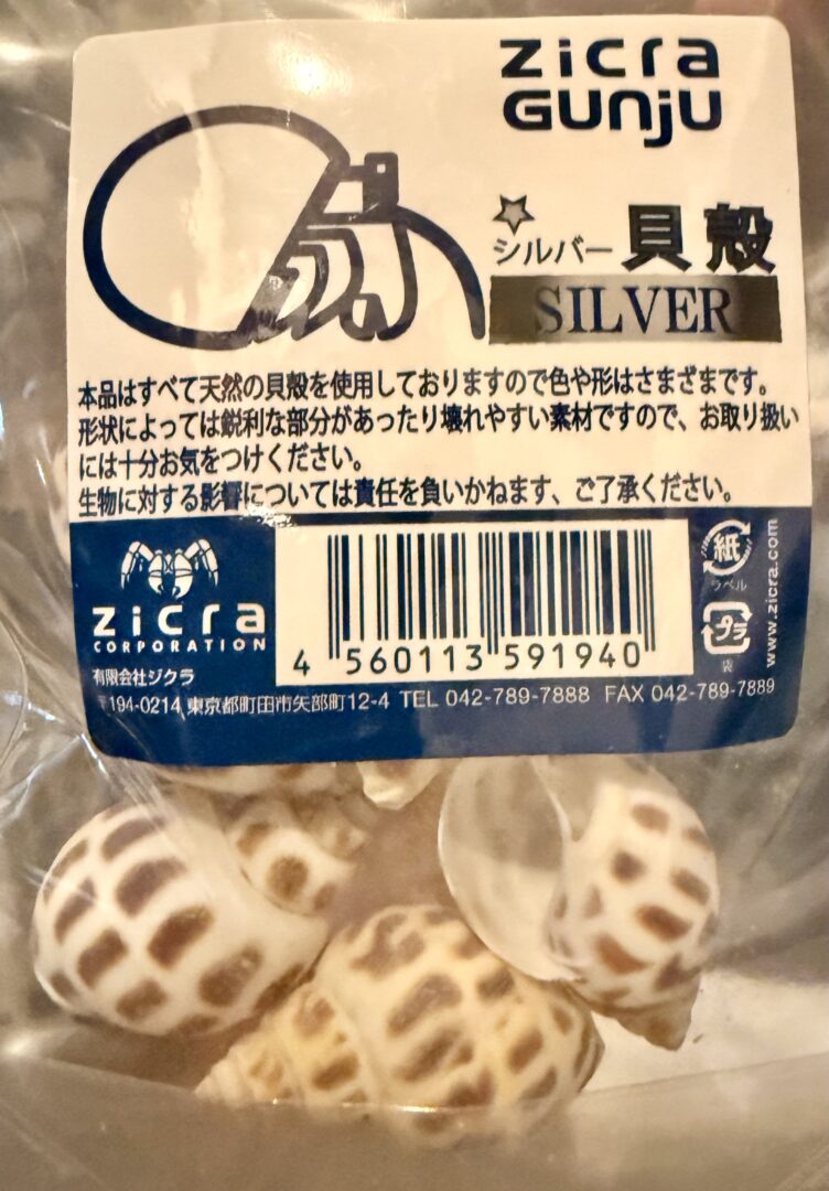 ジクラ アギト オカヤドカリ専用貝殻 | ピュアアニマル