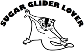 Sugar Glider Window Decalのメイン画像