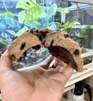 天然コルクシェルター 筒型｜爬虫類・両生類の隠れ家の画像1