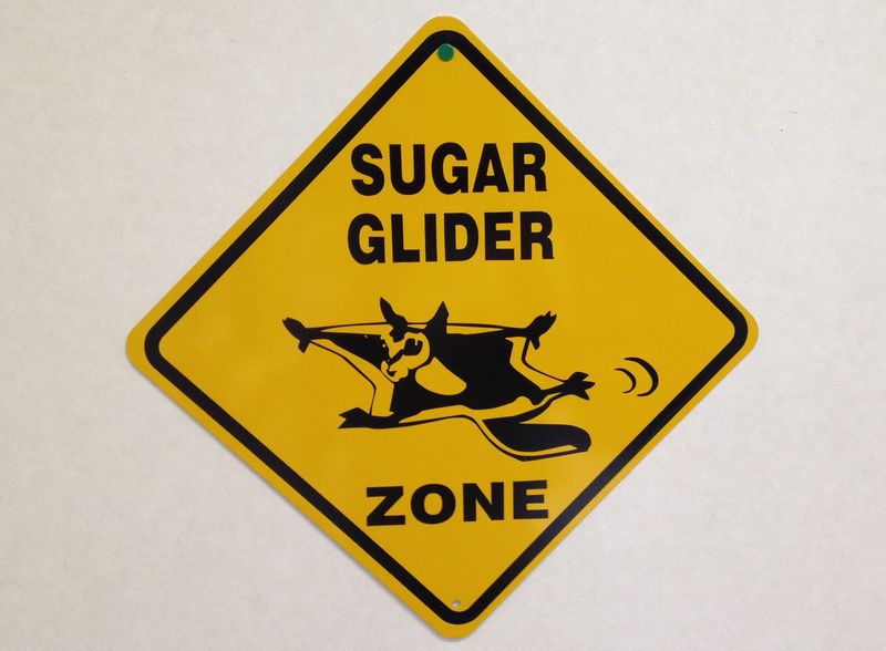 SugarGlider  Plateのメイン画像