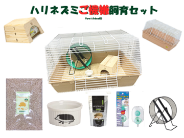 ハリネズミご機嫌飼育セット｜初日から快適な“おうち”が完成するスターター一式（大森・池上・川崎対応）