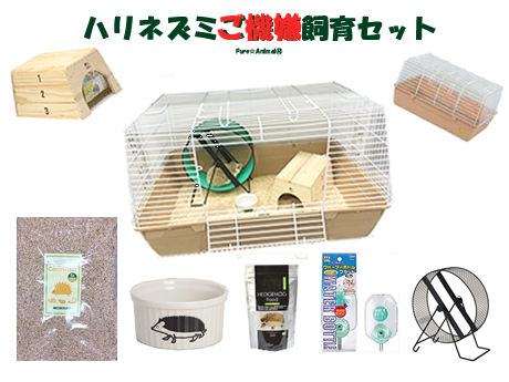 14時までの注文で即日配送 ☆ハリネズミ飼育セット☆ - 小動物用品