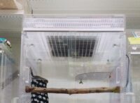 フクモモちゃんのぬくぬく暖房セット（フラット用）の画像1