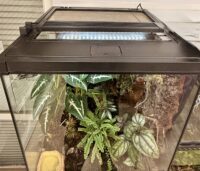 テラスカイ10W(TERRASKY)生物、植物、テラリウムライトLEDの画像1