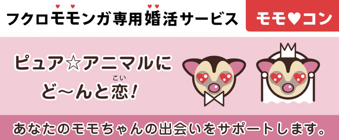 フクロモモンガ婚活「モモ♡コン（モモ婚）」｜実際にお見合いできる相方探し（大田区・大森/池上/川崎）のトップイメージ