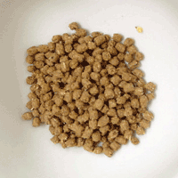 インセクティボア ダイエット(INSECTIVORE　DIETフード)のメイン画像