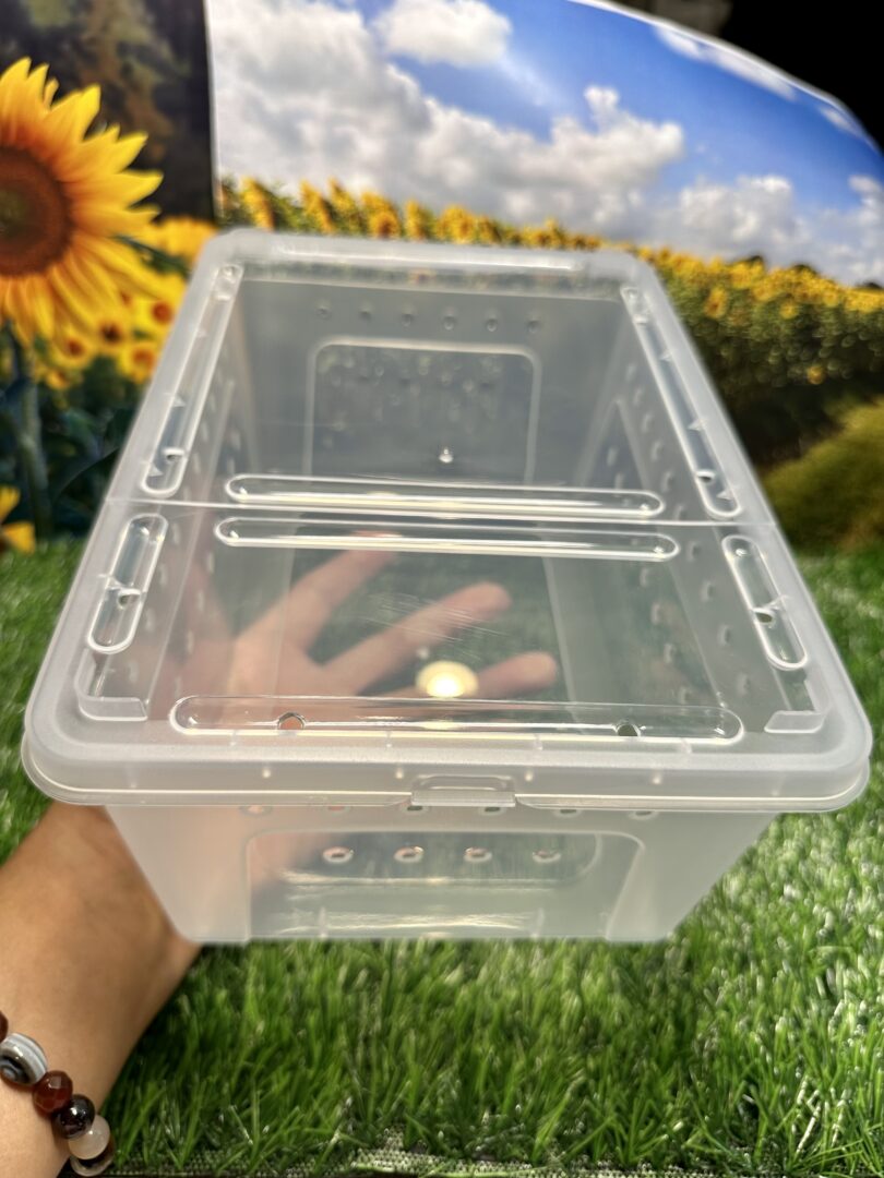 レプタイルボックス 昆虫 爬虫類 両性類飼育ケース クリア
