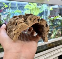 天然コルクシェルター 筒型｜爬虫類・両生類の隠れ家の画像2