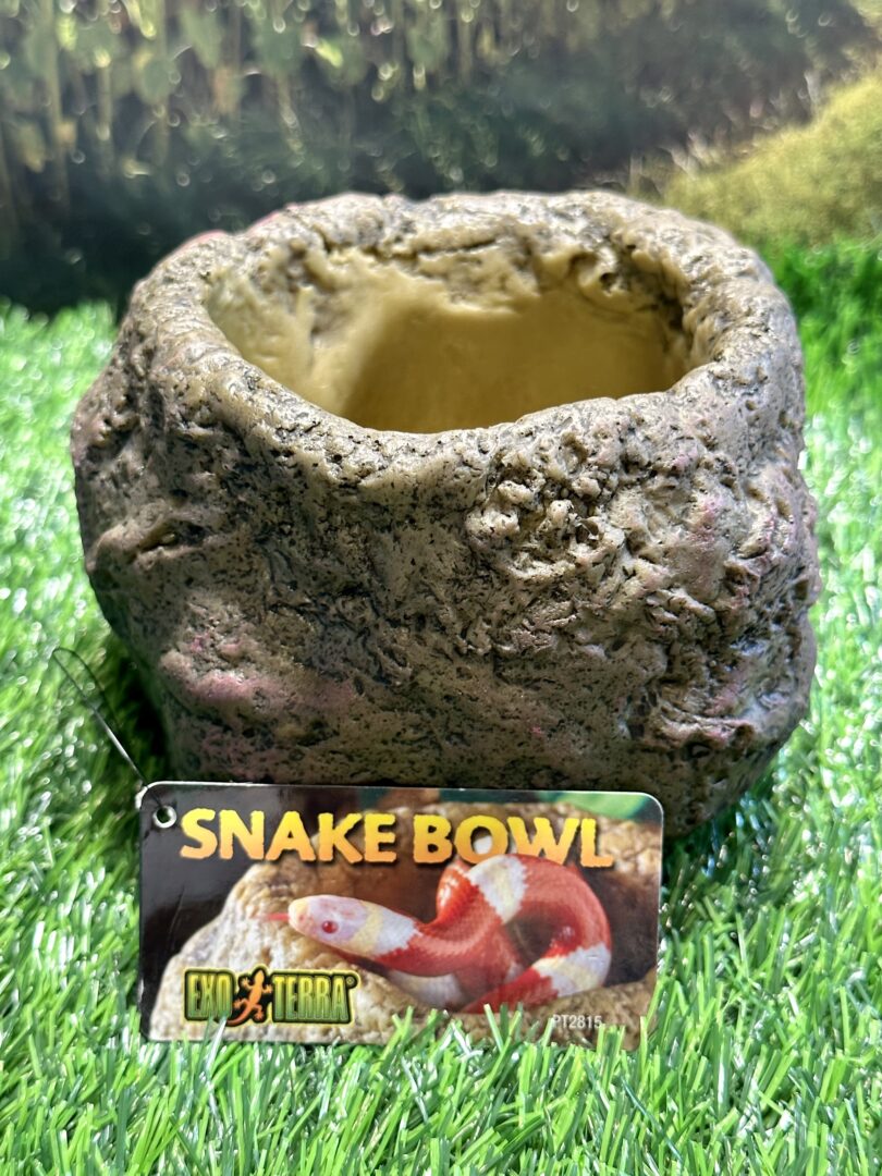 ヘビ用の水浴び皿のメイン画像
