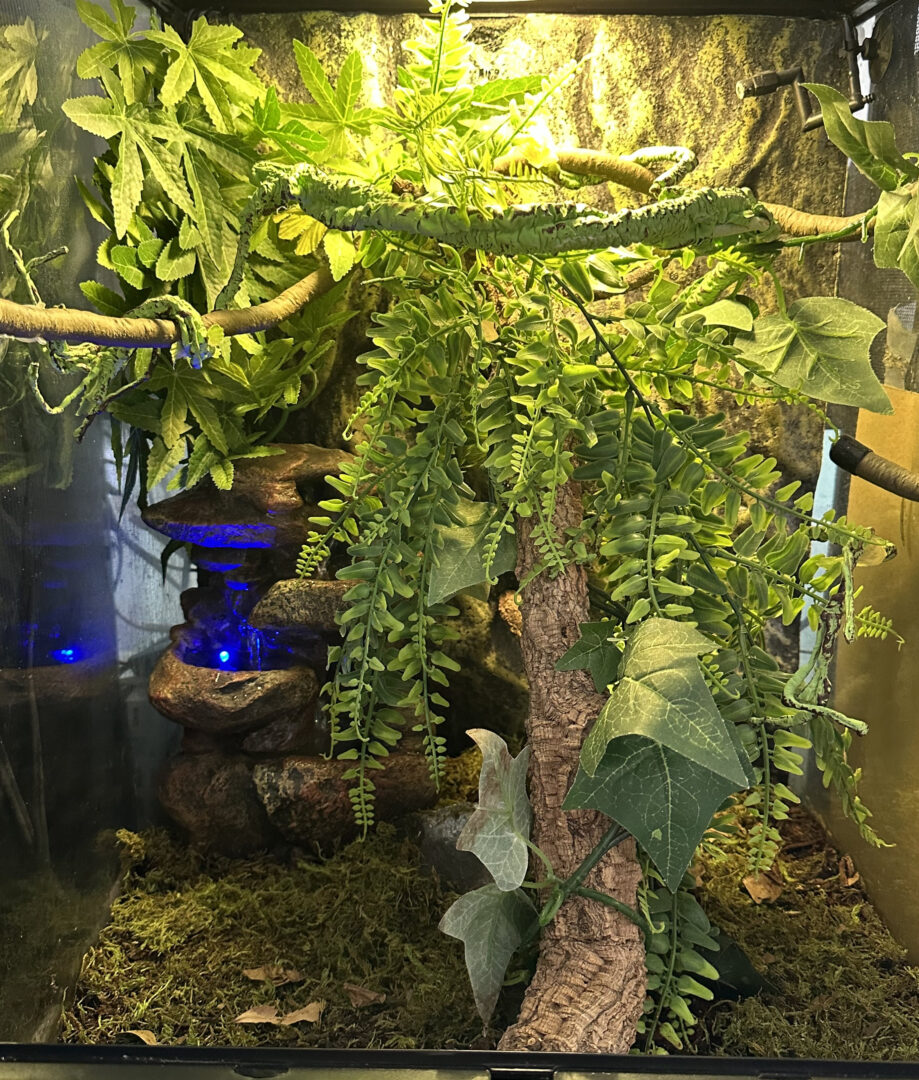 ウォーターフォール（LED）WoodタイプM ズーメッドジャパンウォーター