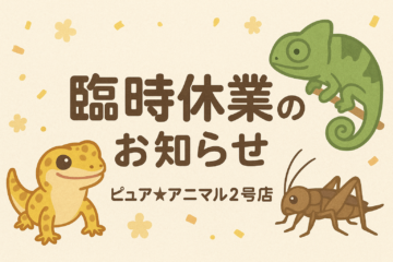 2号店臨時休業のお知らせ（１１月３０日　日曜日）の画像