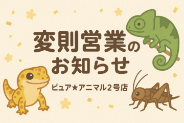 2号店変則営業のお知らせ（１２月１６日火、１７日水）の画像