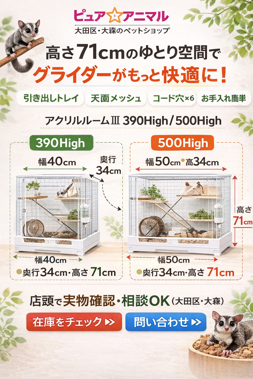 アクリルルームⅢ 390High/500High|高さ71cmで見やすい・掃除しやすいフクロモモンガ用アクリルケージ|ピュア☆アニマルの画像