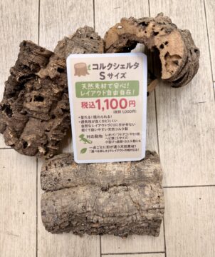 天然コルクシェルター 筒型｜爬虫類・両生類の隠れ家のメイン画像