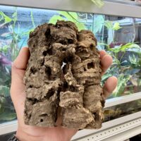 天然コルクシェルター 筒型｜爬虫類・両生類の隠れ家の画像4
