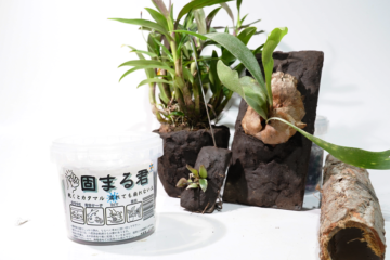 テラリウム用造形土「固まる君」｜濡れても崩れない崖・シェルター作り（大田区ピュアアニマル）