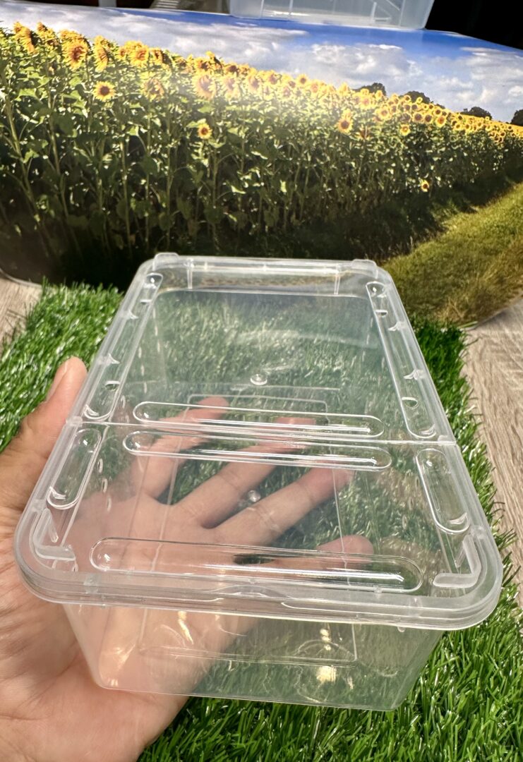 レプタイルボックス 昆虫 爬虫類 両性類飼育ケース クリア