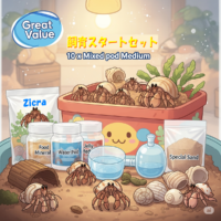 天然オカヤドカリの画像1