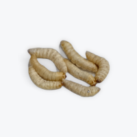 森の三兄弟のおやつの画像2