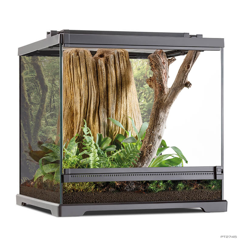 ドレン付 グラステラリウム 爬虫類 両性類 水槽,ガラス水槽のメイン画像