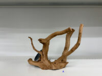 ナチュラル　スパイダーウッド ズーメッドの画像2