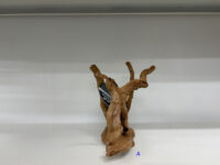 ナチュラル　スパイダーウッド ズーメッドの画像3