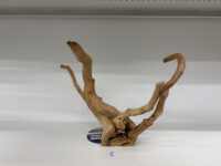 ナチュラル　スパイダーウッド ズーメッドの画像10