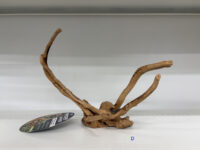 ナチュラル　スパイダーウッド ズーメッドの画像12