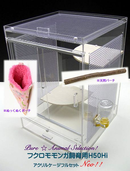 モモンガ ゲージ 小動物 - 小動物用品