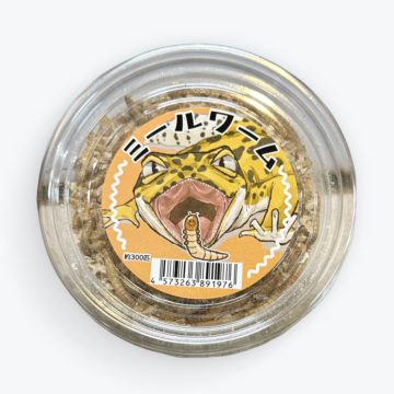 活ミールワームの使い方ガイド｜フクモモ・ハリネズミ・爬虫類に｜大田区（大森・池上）〜川崎も