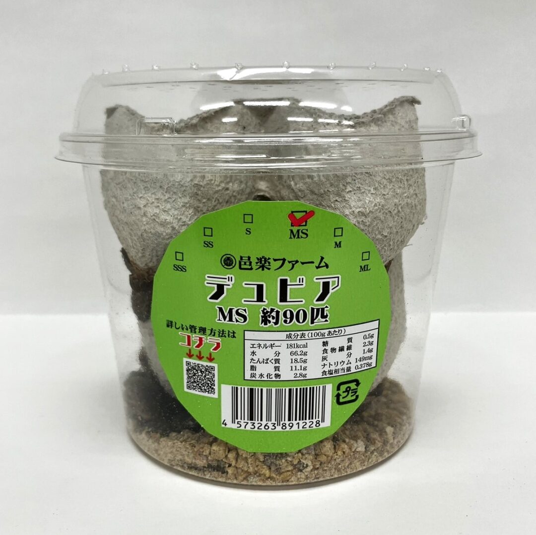 活餌・活きデュビアの通販のメイン画像