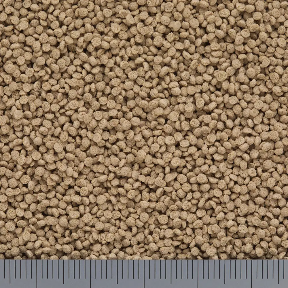 カルガットの粒