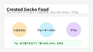 クレステッドゲッコーフード（Zoo Med）｜香りの良さで食いつきを作るフレーバー完全栄養食【大田区・大森】