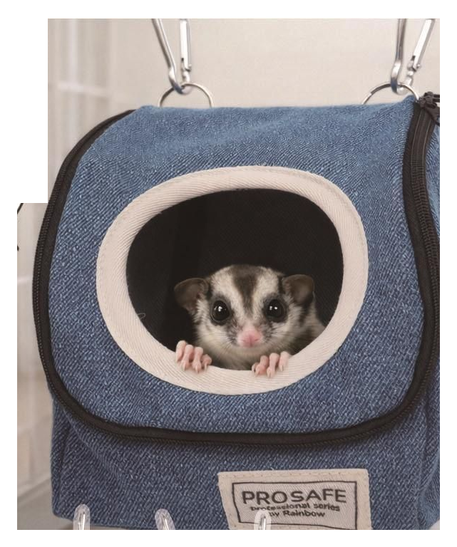 PRO SAFE デグモモハウス デニム ナチュラル グレー モモンガ・デグー用吊り下げハウス