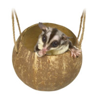 ココカップの画像1