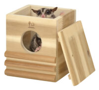 リスモモ　アカシアハウスの画像1