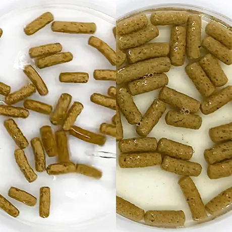 レオパドライ（200g）昆虫食爬虫類の総合栄養ペレット | ピュア