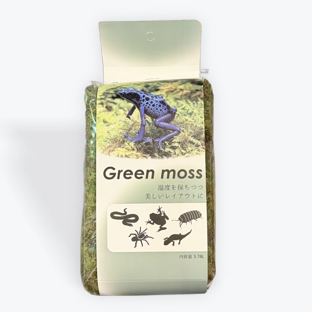 グリーンモス乾燥苔3.78L｜苔・テラリウム用品のメイン画像