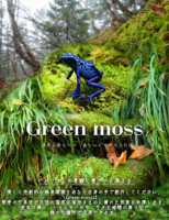 グリーンモス乾燥苔3.78L｜苔・テラリウム用品の画像3