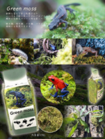 グリーンモス乾燥苔3.78L｜苔・テラリウム用品の画像1