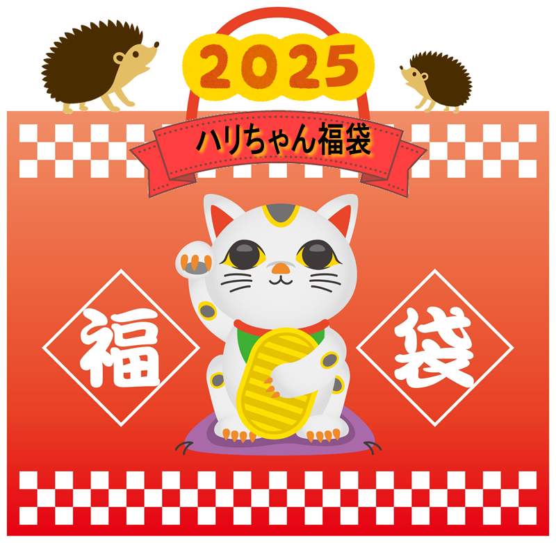 ハリちゃんのよくバリ福袋２０２５♪のメイン画像