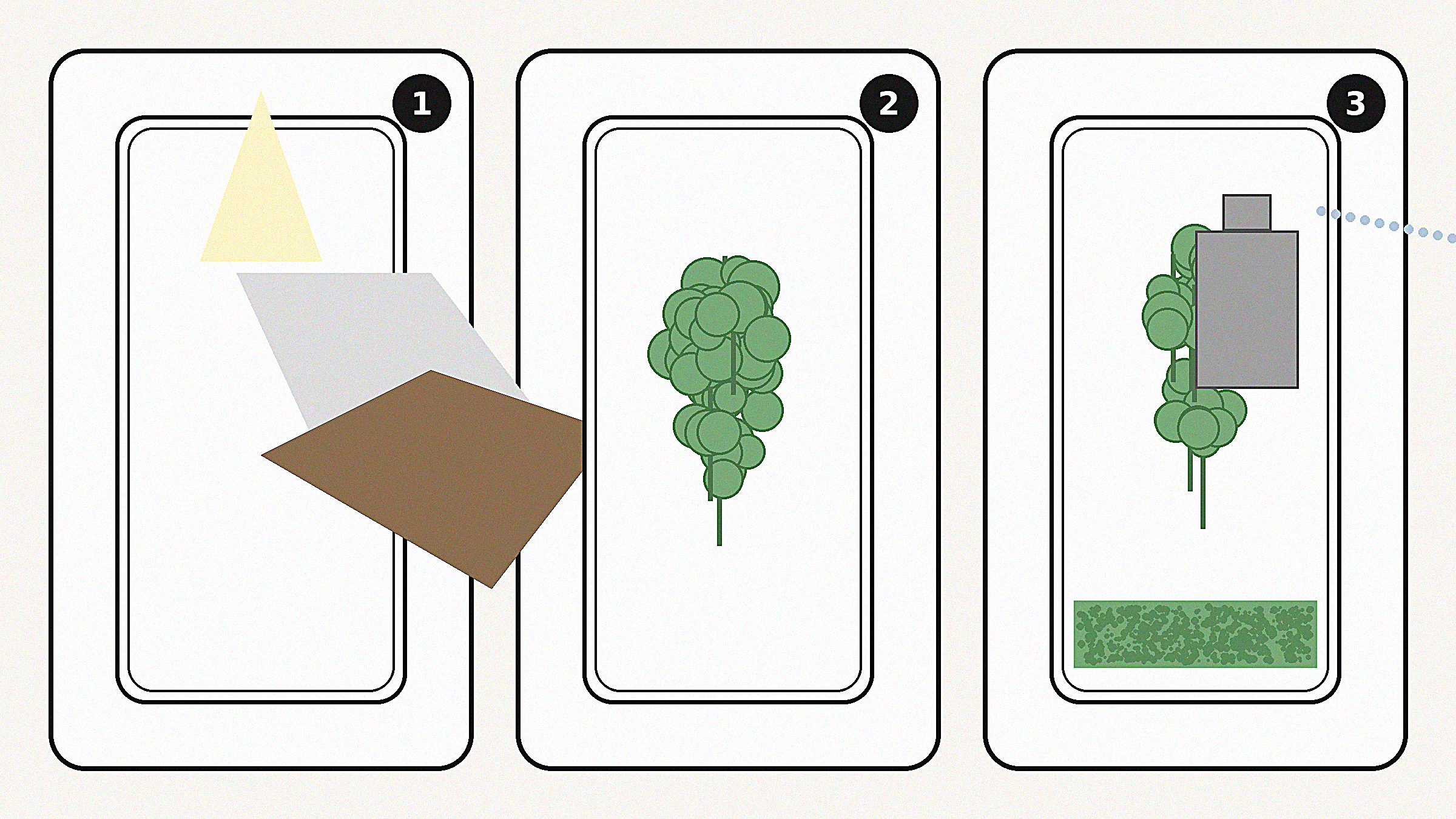 植栽の進め方(ゾーニング→植える→苔で仕上げ)