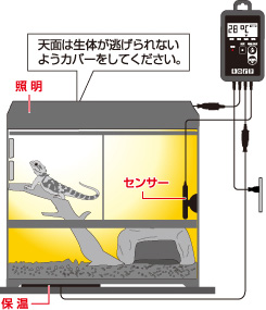 ビバリア 太陽NEO RP-126V 爬虫類 ライト 照明 保温球 UV球 クリップスタンドの画像