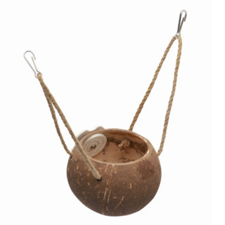 ココカップのメイン画像