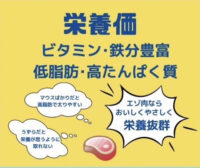 活餌・生き餌 の通販 リタイアマウスの画像2