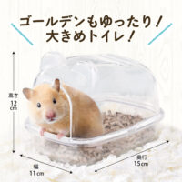 ハーモニーバスの画像5