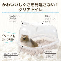 ハーモニーバスの画像6