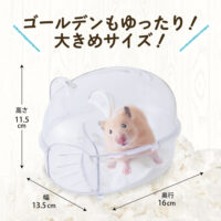 ハーモニーバスの画像3